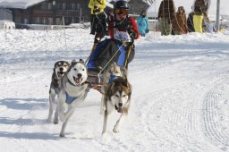 Lenk 2012 SM